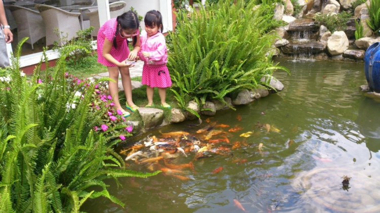 Khách sạn DuParc Dalat có ổn không các bác? Khách sạn DuParc Dalat có ổn không các bác?