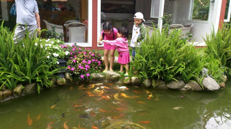 Khách sạn DuParc Dalat có ổn không các bác? Khách sạn DuParc Dalat có ổn không các bác?
