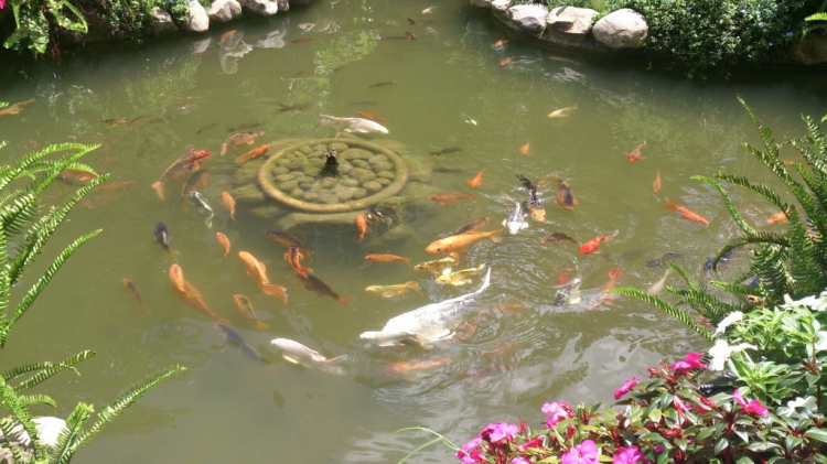 Khách sạn DuParc Dalat có ổn không các bác? Khách sạn DuParc Dalat có ổn không các bác?