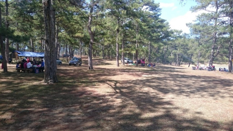 Khách sạn DuParc Dalat có ổn không các bác? Khách sạn DuParc Dalat có ổn không các bác?