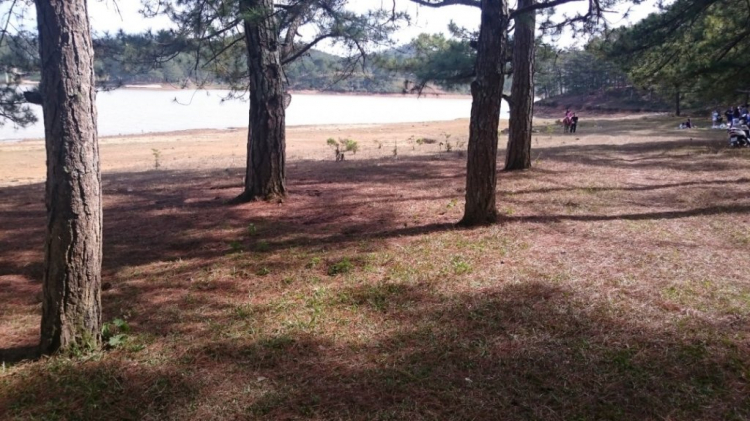 Khách sạn DuParc Dalat có ổn không các bác? Khách sạn DuParc Dalat có ổn không các bác?
