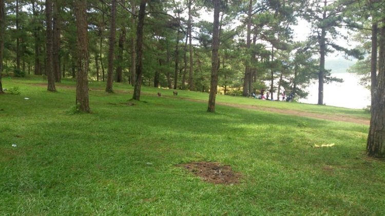 Khách sạn DuParc Dalat có ổn không các bác? Khách sạn DuParc Dalat có ổn không các bác?