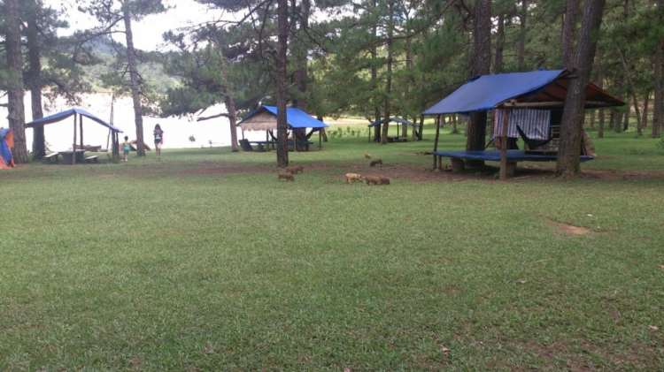 Khách sạn DuParc Dalat có ổn không các bác? Khách sạn DuParc Dalat có ổn không các bác?