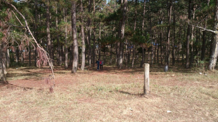 Khách sạn DuParc Dalat có ổn không các bác? Khách sạn DuParc Dalat có ổn không các bác?
