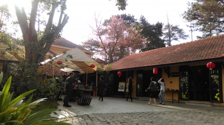 Hỏi thăm về Hoàng Anh - Đất xanh Đà lạt Resort Hỏi thăm về Hoàng Anh - Đất xanh Đà lạt Resort