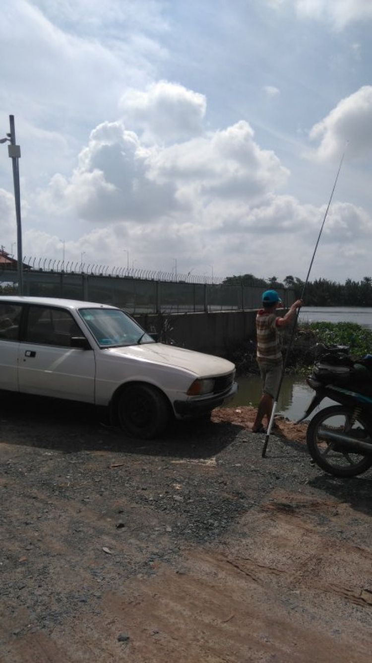 peugeot 305 ở Việt Nam