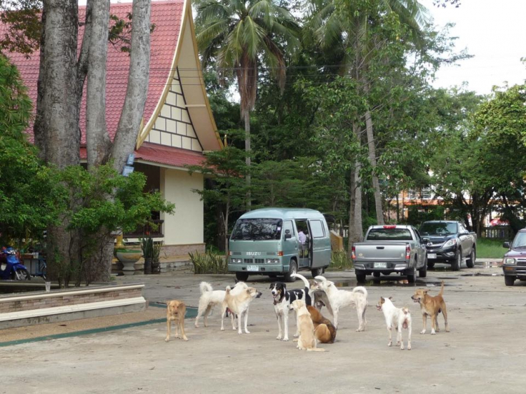 Hành trình Caravan xuyên Đông dương: Cam - Lào - Thái (4 ngày 3 đêm)
