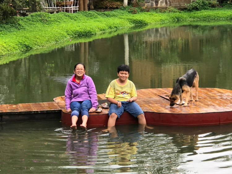 Xin tư vấn du lịch đà lạt Xin tư vấn du lịch đà lạt