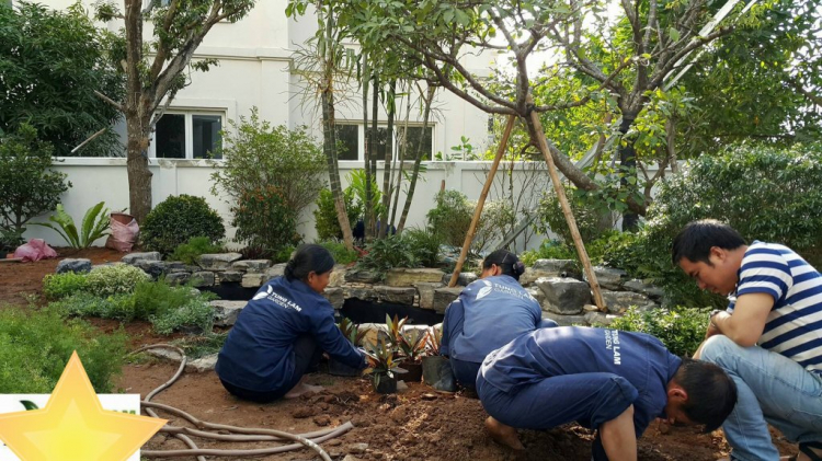 Thông tin về dự án Nine South estates - Nam Sài Gòn Thông tin về dự án Nine South estates - Nam Sài Gòn