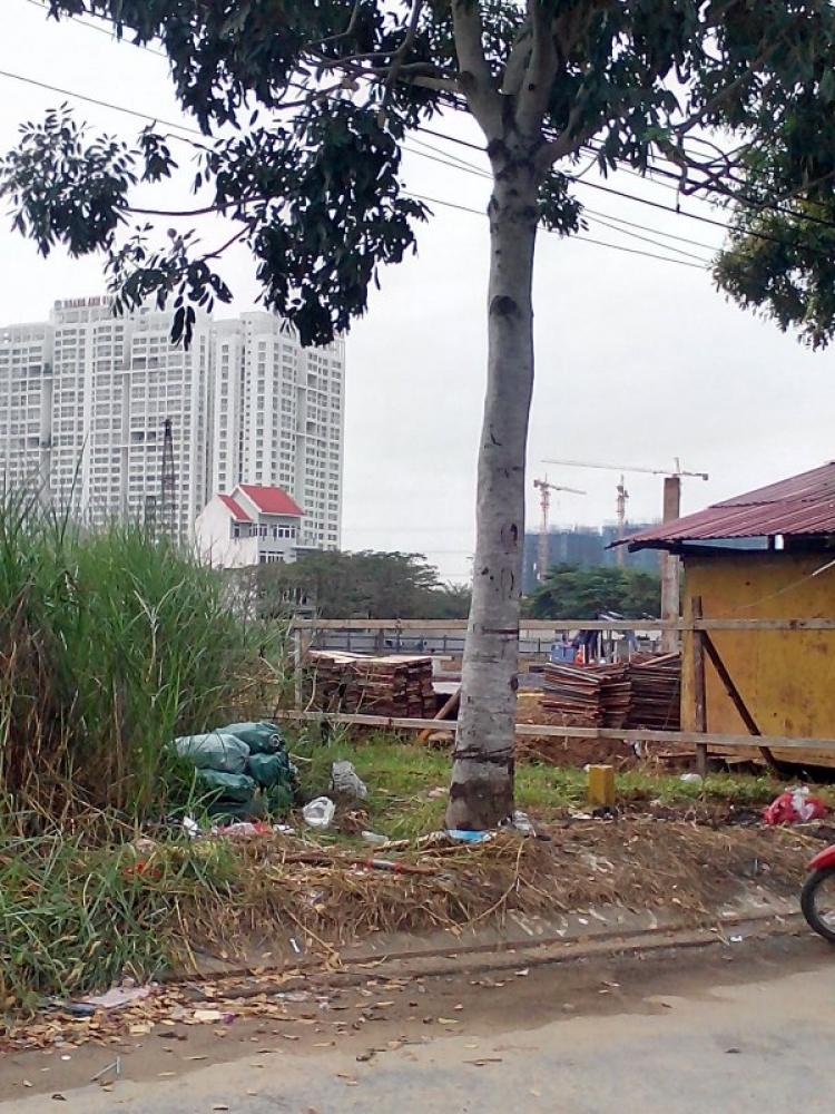 Sunrise Riverside - Bàn Luận và cập nhật thông tin