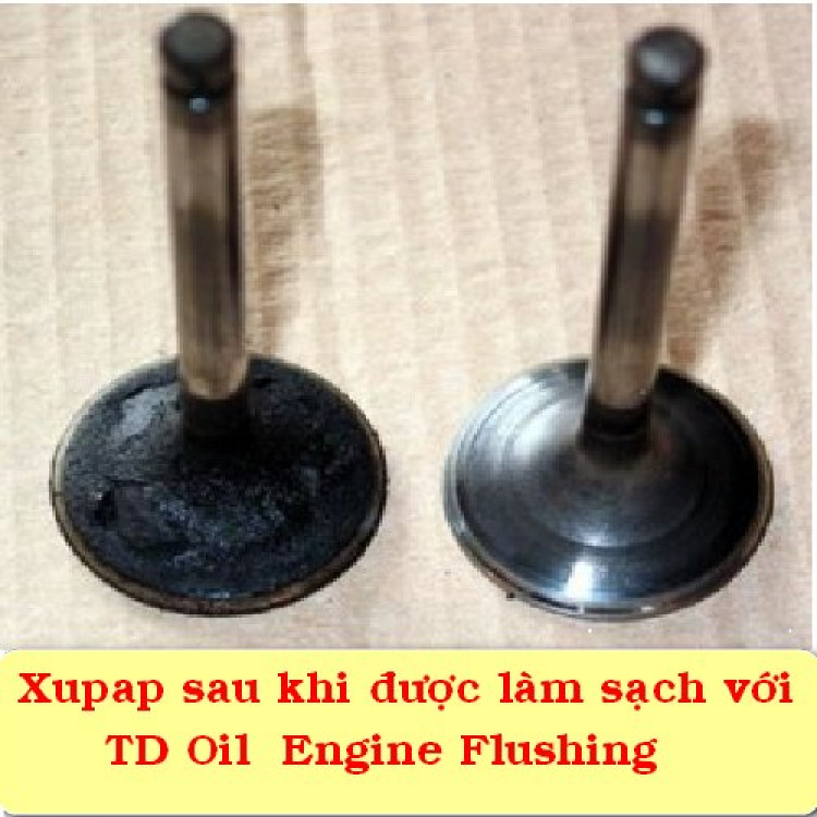 TD OIL ENGINE FLUSHING - Dầu súc rửa cho động cơ