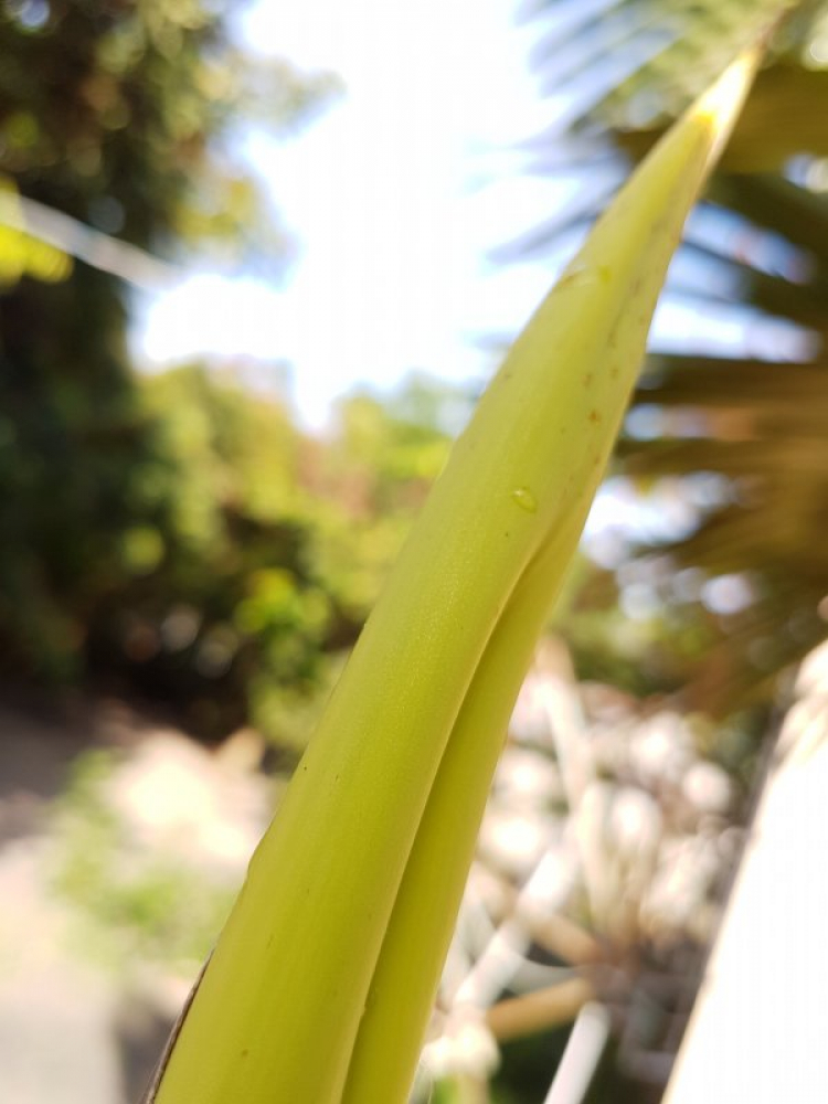 Vườn hoa của ... các bác! Em mời các bác vào đây ... trồng hoa ạ! Vườn hoa của ... các bác! Em mời các bác vào đây ... trồng hoa ạ!