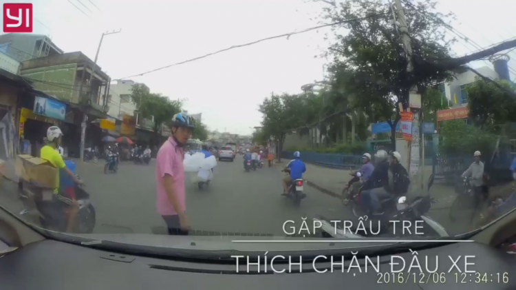 ''Hổ báo'' chặn đầu xe