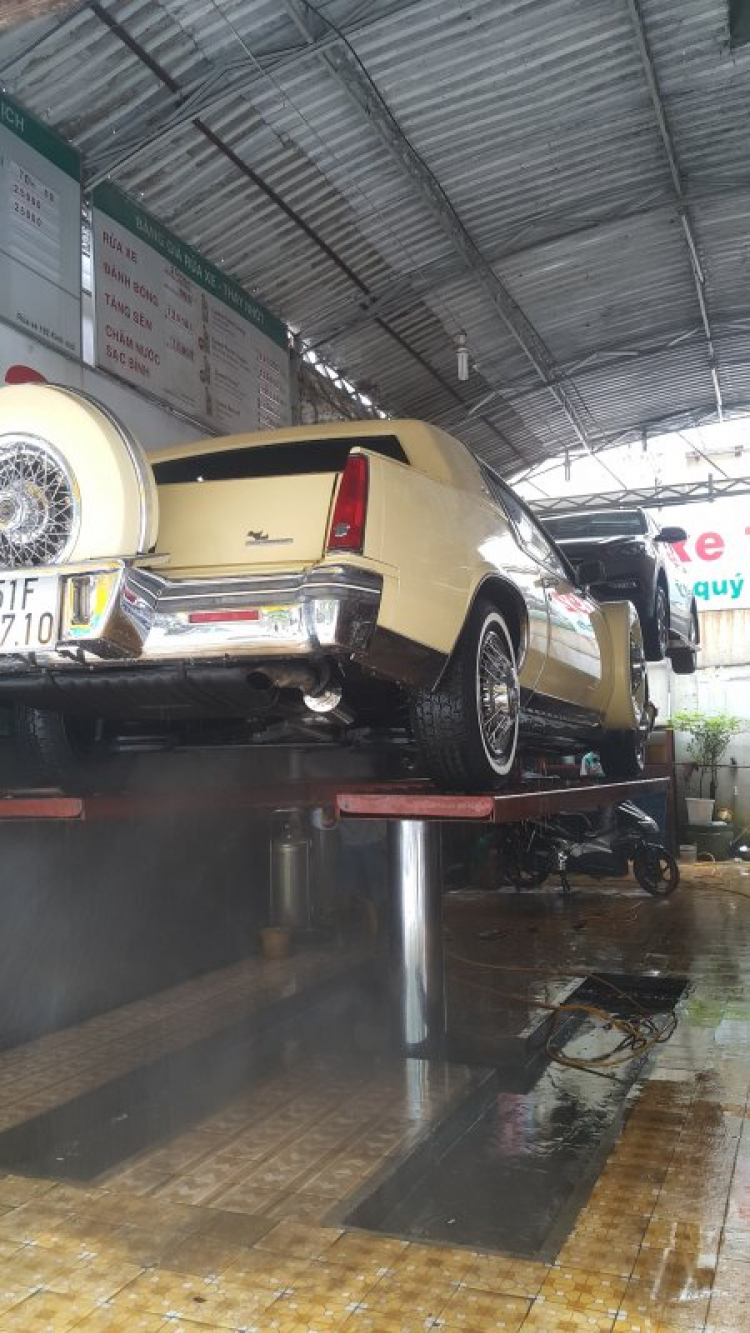 Xe cổ tình cờ