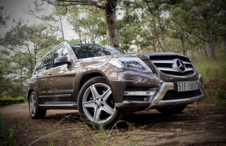 GLK.JPG