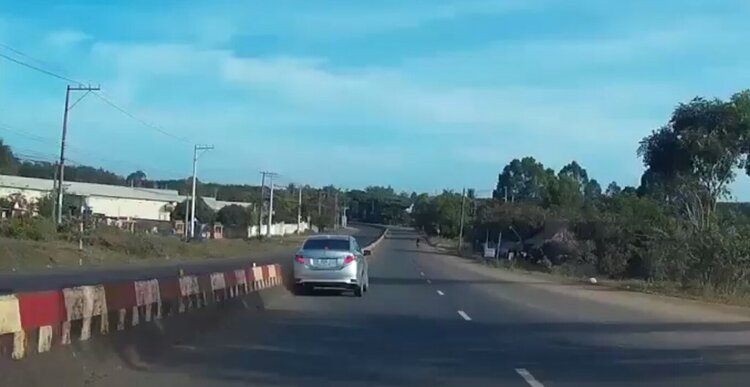 Vios xém hốt nguyên con lươn về ăn Giáng sinh!!