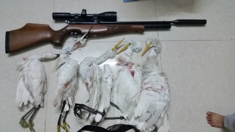 Airgun, niềm đam mê của phái mạnh!