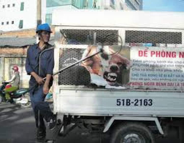 Cướp ngay trung tâm quận 5 Cướp ngay trung tâm quận 5