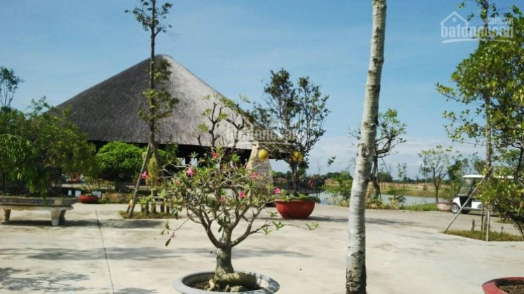 đầu tư sai gon village long hậu cạnh hiệp phước đầu tư sai gon village long hậu cạnh hiệp phước