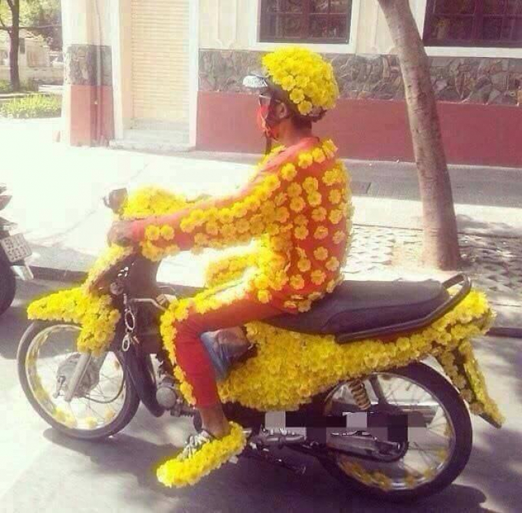 chị gái áo vàng chị gái áo vàng