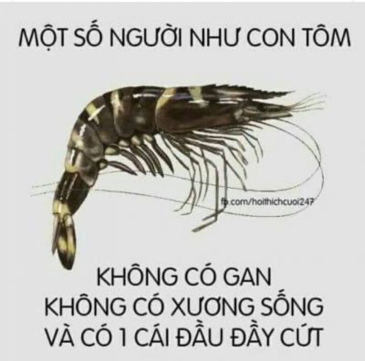 Xin nhan trước như thế này đã đủ chưa?