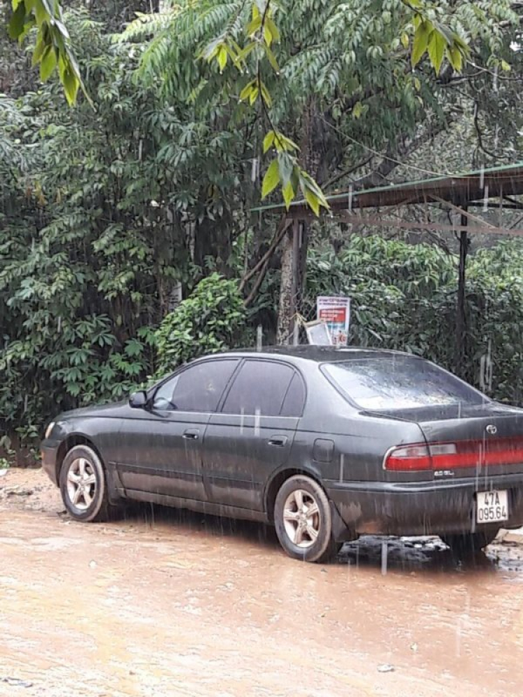 Toyota Corona 1992 - 1996 mắt híp đít bồng (Na béo ) Toyota Corona 1992 - 1996 mắt híp đít bồng (Na béo )