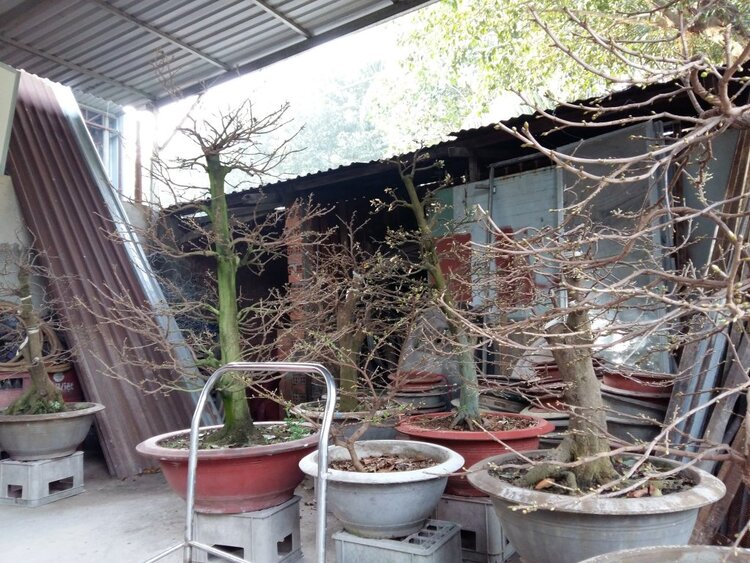Jolie - Chiếc xe thân thiện Jolie - Chiếc xe thân thiện