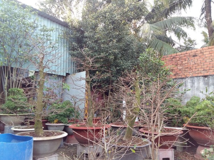 Jolie - Chiếc xe thân thiện Jolie - Chiếc xe thân thiện