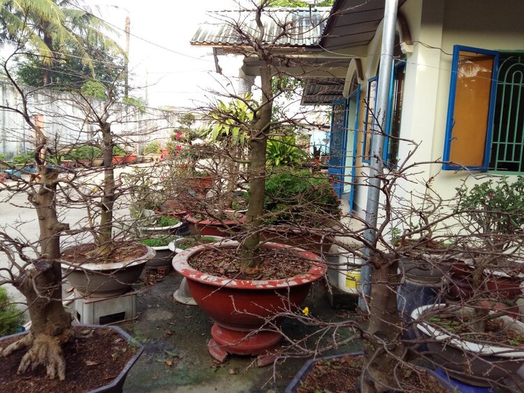 Jolie - Chiếc xe thân thiện Jolie - Chiếc xe thân thiện