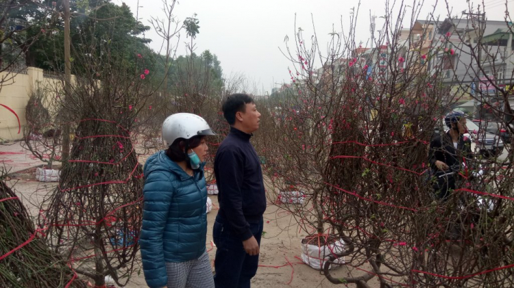 Jolie - Chiếc xe thân thiện Jolie - Chiếc xe thân thiện
