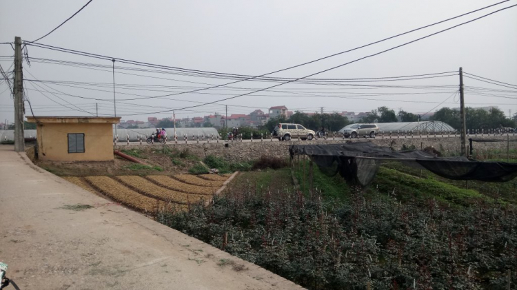 Jolie - Chiếc xe thân thiện Jolie - Chiếc xe thân thiện