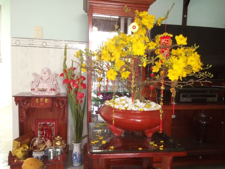 Jolie - Chiếc xe thân thiện Jolie - Chiếc xe thân thiện