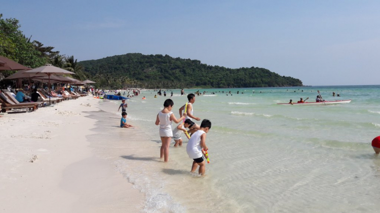 Xuân của các Fiater Xuân của các Fiater