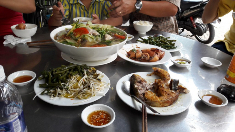 Xuân của các Fiater Xuân của các Fiater