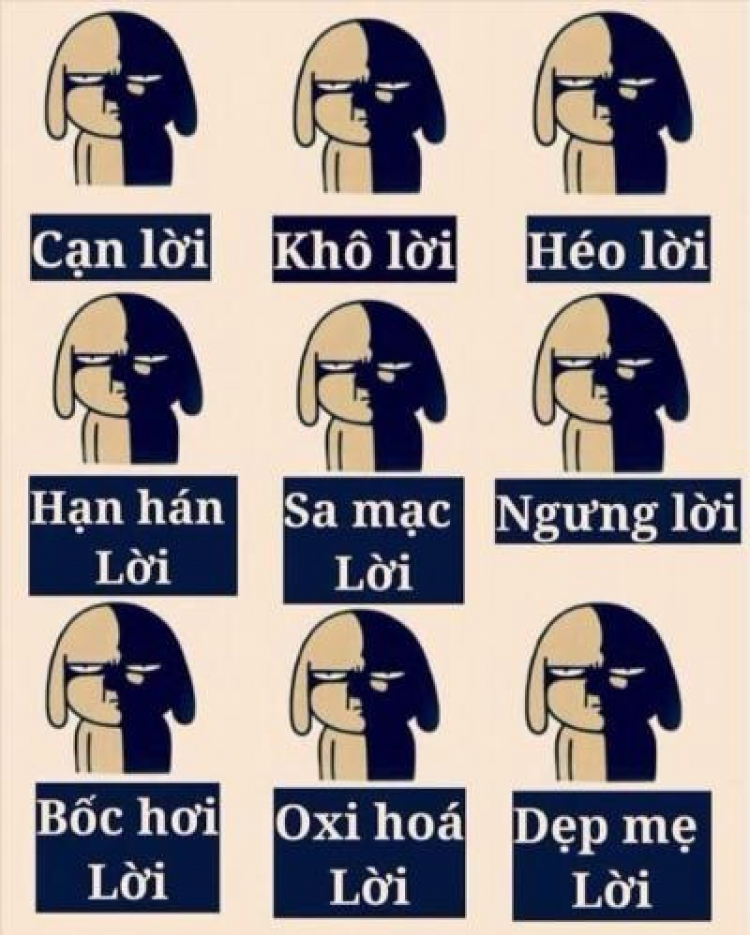 Bó chiếu với kết luận này