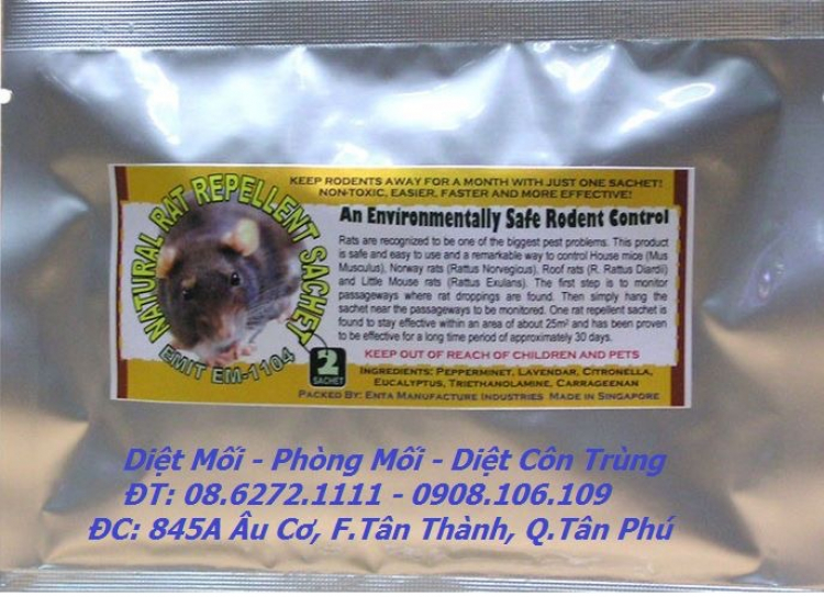 Khoang máy - Căn nhà lý tưởng của anh Tý Khoang máy - Căn nhà lý tưởng của anh Tý