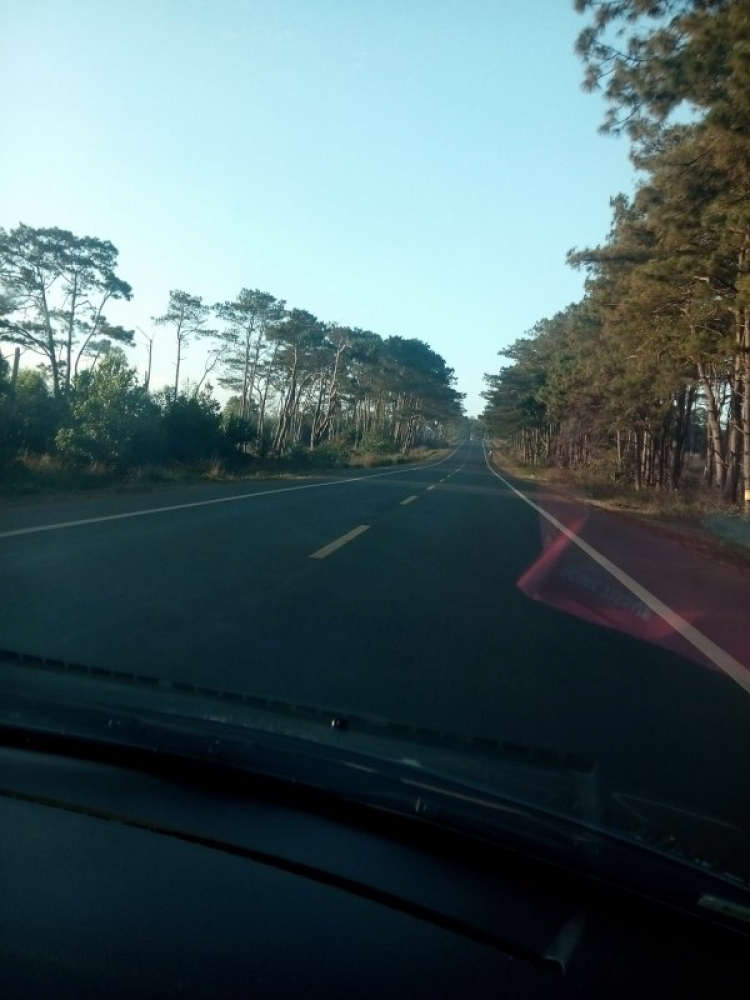 Hành trình đầu tay về nam ăn tết bằng KM với 1438 km. Hành trình đầu tay về nam ăn tết bằng KM với 1438 km.