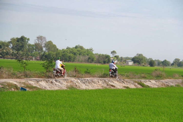 Khảo sát xây cầu từ thiện tại xã Phước Chỉ, huyện Trảng Bàng, Tây Ninh Khảo sát xây cầu từ thiện tại xã Phước Chỉ, huyện Trảng Bàng, Tây Ninh