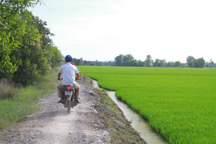 Khảo sát xây cầu từ thiện tại xã Phước Chỉ, huyện Trảng Bàng, Tây Ninh