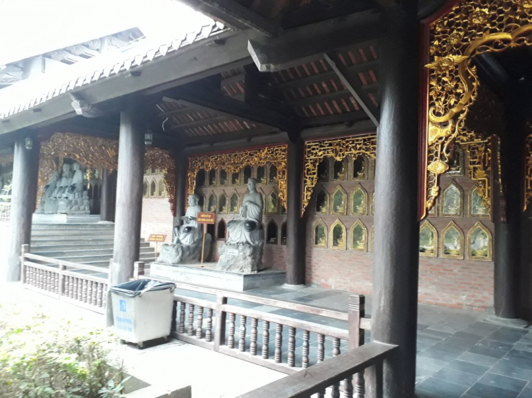 "Xuyên Vịt" 2017 Cùng Cam Cỏ "Xuyên Vịt" 2017 Cùng Cam Cỏ
