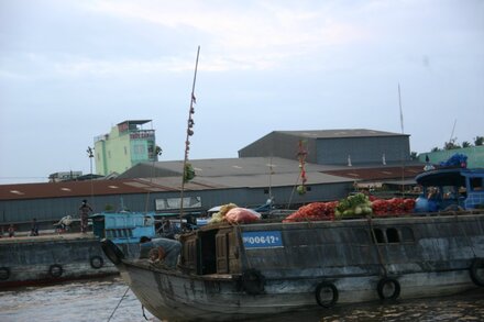 IMG_2679.JPG