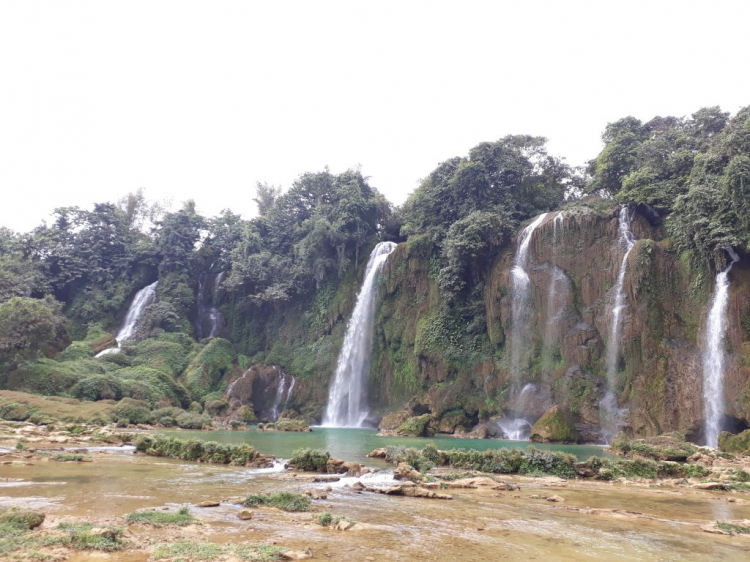 "Xuyên Vịt" 2017 Cùng Cam Cỏ