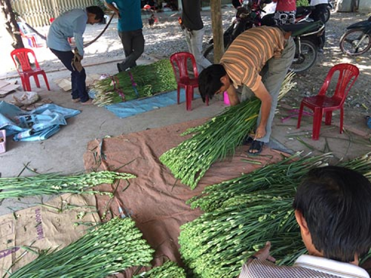 Tìm người phát triển dự án “Nhiều Lợi Nhuận” từ nông nghiệp Việt Nam