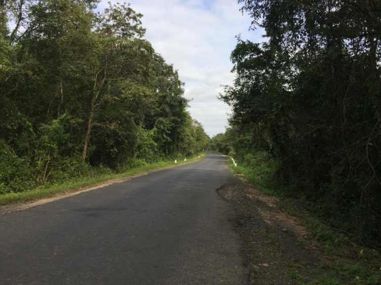 Về quê ăn Tết, lạc trôi Tây nguyên-Miền Trung Về quê ăn Tết, lạc trôi Tây nguyên-Miền Trung