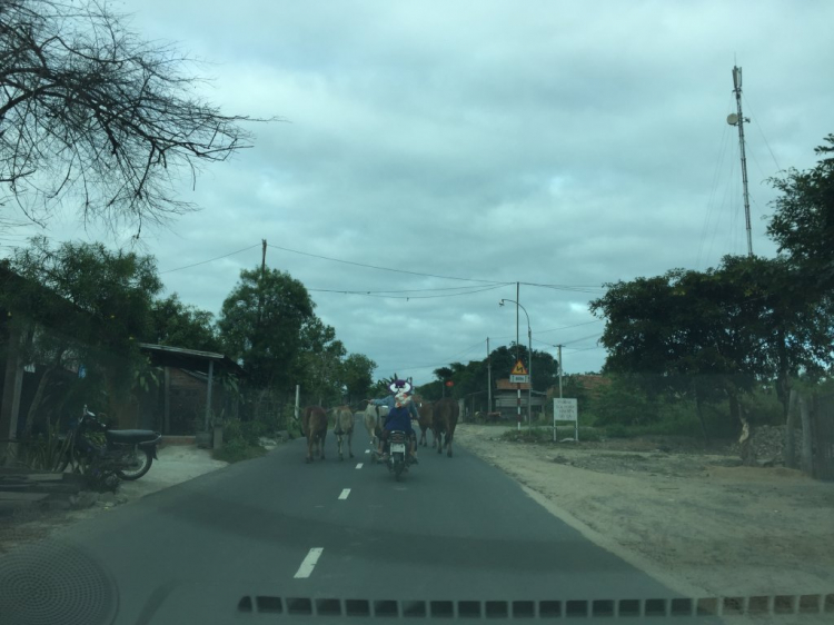 Về quê ăn Tết, lạc trôi Tây nguyên-Miền Trung Về quê ăn Tết, lạc trôi Tây nguyên-Miền Trung