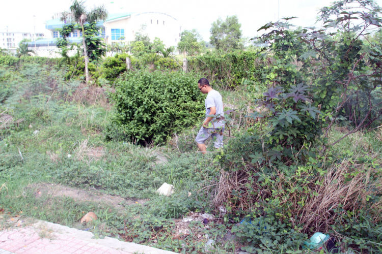 NƠI TỤ TẬP ĂN CHƠI VÀ ĐÓN CHÀO THÀNH VIÊN MỚI CỦA AE SORENTO ! NƠI TỤ TẬP ĂN CHƠI VÀ ĐÓN CHÀO THÀNH VIÊN MỚI CỦA AE SORENTO !