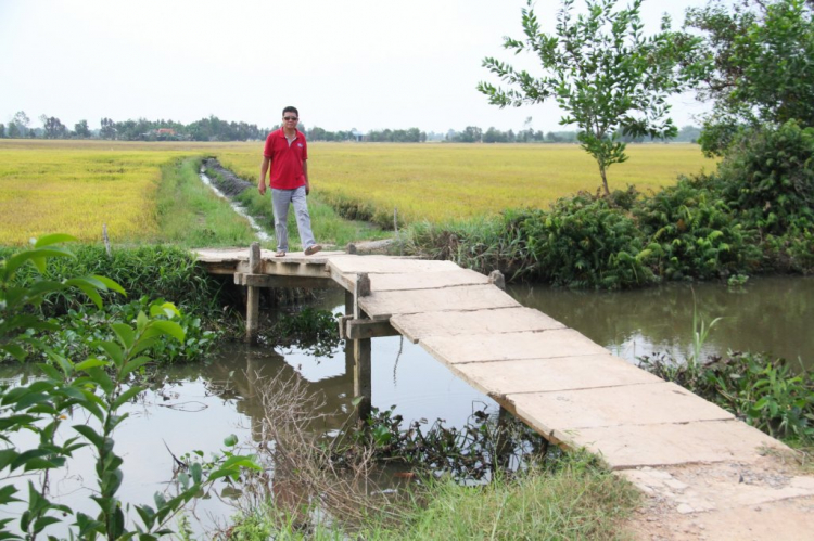 Chương trình tham dự lễ khởi công xây cầu từ thiện tại xã Phước Chỉ, huyện Trảng Bàng, tỉnh Tây Ninh