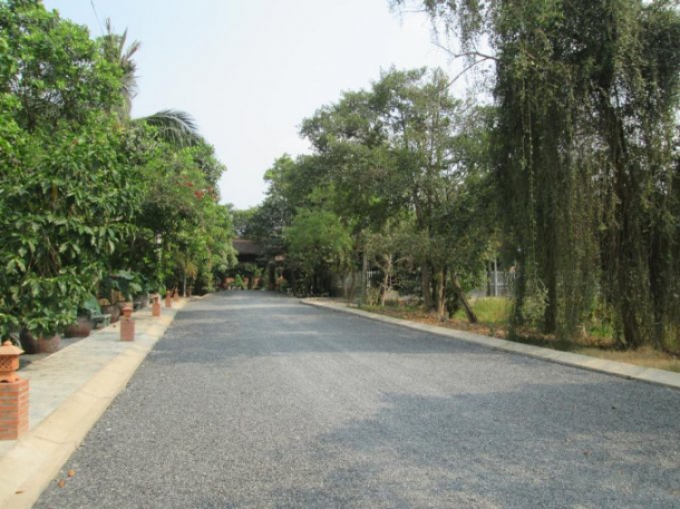 Giá đất gần Hà Huy Giáp ,Q.12 ? Giá đất gần Hà Huy Giáp ,Q.12 ?