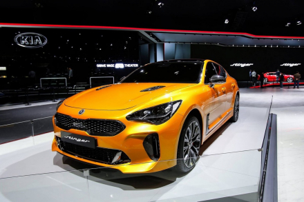 Stinger-1.jpg