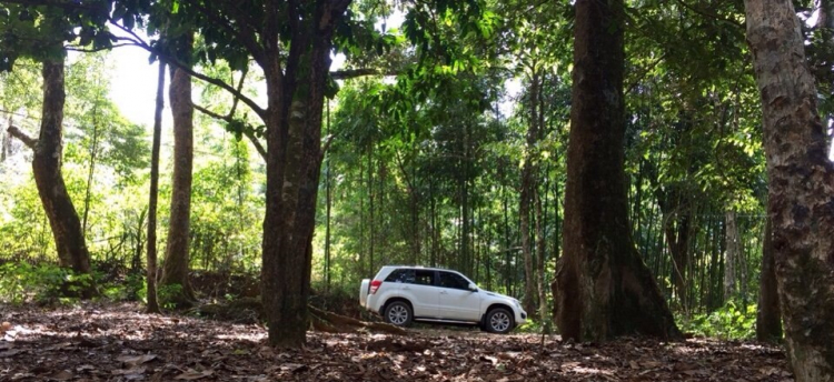 [QC] Đánh giá Suzuki Grand Vitara: SUV nhập Nhật giá tốt